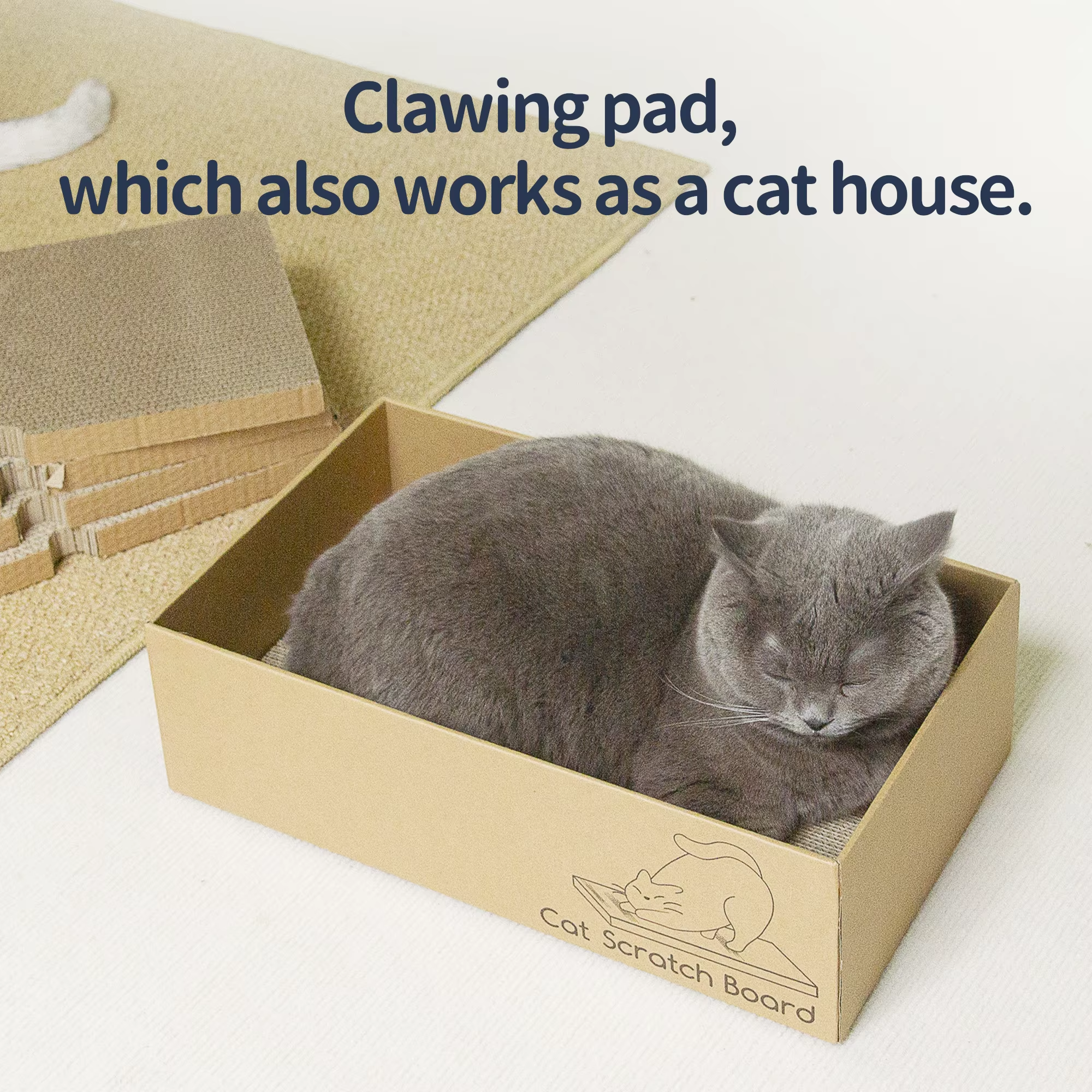 1ab1ea1712bd07662e804fa8546ea47b 拷貝.png